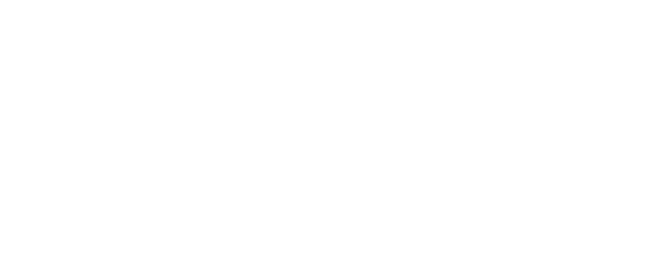 Bloomreach Partner