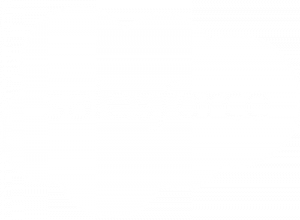 Salesforce Partner